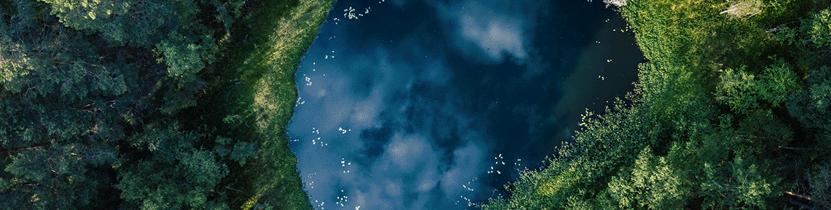 gif voeux