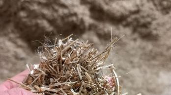 A Wormhout, 3 établissements chauffés aux anas de lin